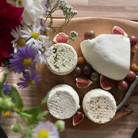 Inny Dom 펜션 Lacha