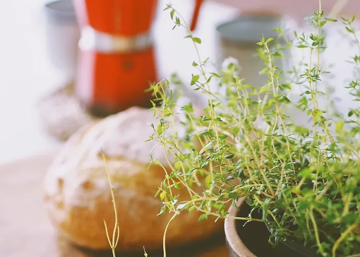 Дом отдыха Inny Dom